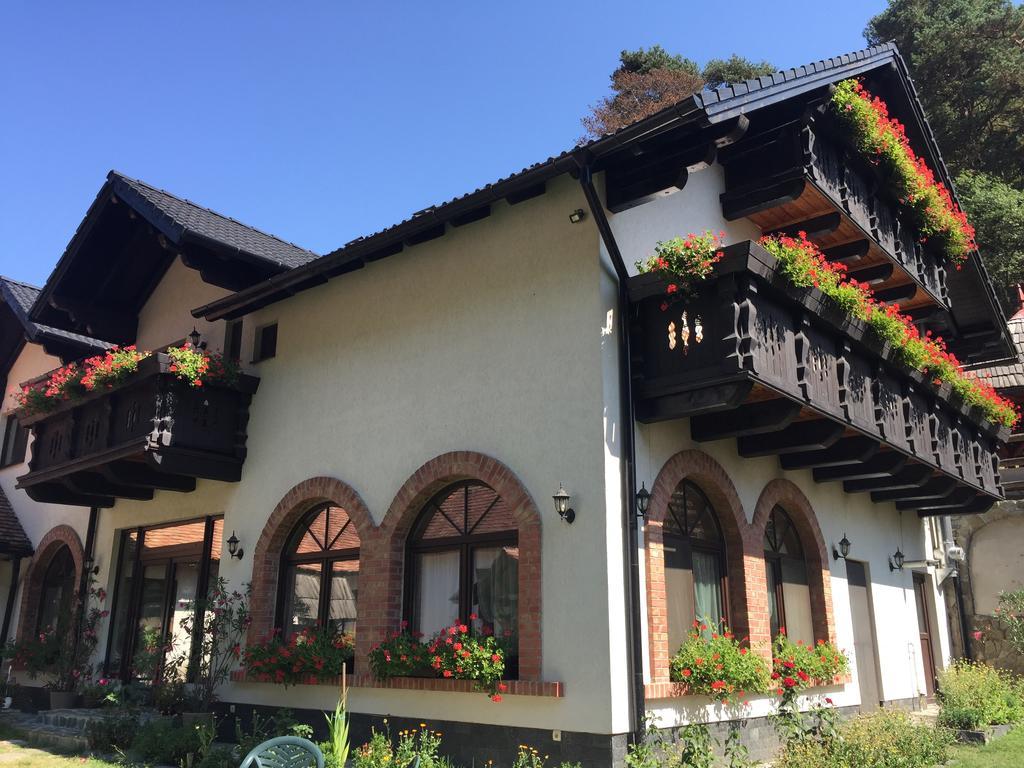 Casa Stefania Hotel Tălmaciu Esterno foto